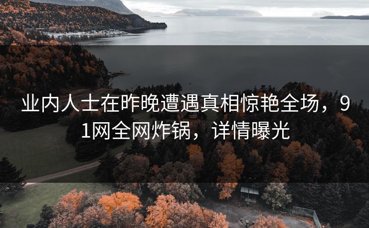 业内人士在昨晚遭遇真相惊艳全场，91网全网炸锅，详情曝光