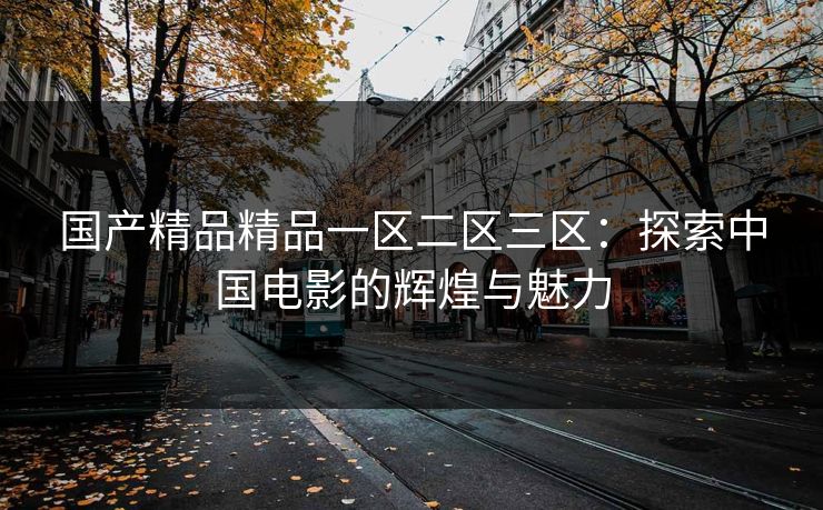 国产精品精品一区二区三区：探索中国电影的辉煌与魅力