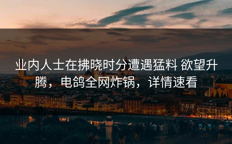 业内人士在拂晓时分遭遇猛料 欲望升腾，电鸽全网炸锅，详情速看